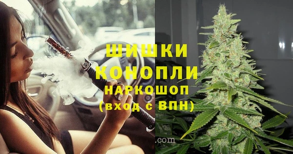 гидропоника Пересвет