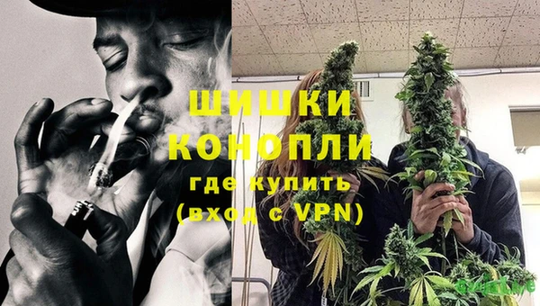 СК Покров